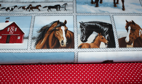 Designerbaumwollstoff Horse Whisperer Rapport